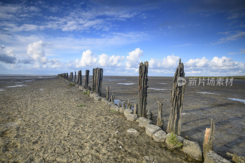 荷兰北部的瓦登海自然保护区“de Wadden”中，古老的填海造地柱在空旷的景观中排成一排